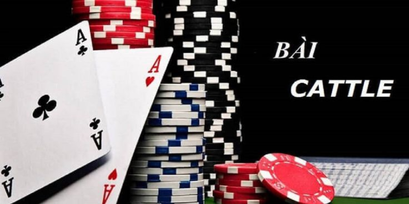 Tìm hiểu bài Catte