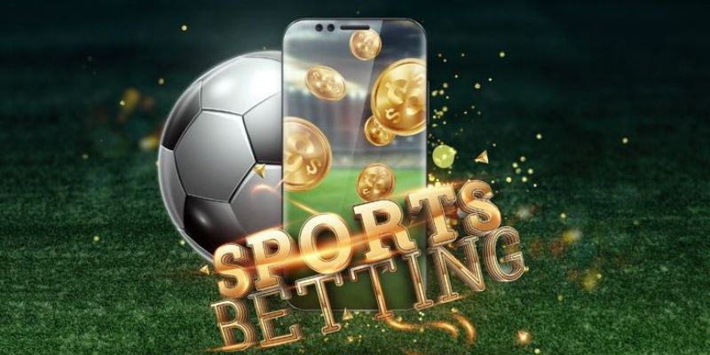 cá cược bóng chày 4